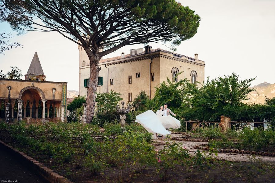 Fotografo di matrimoni Alex Piele (pielealex). Foto del 18 ottobre 2019