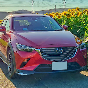 CX-3 DK5FW