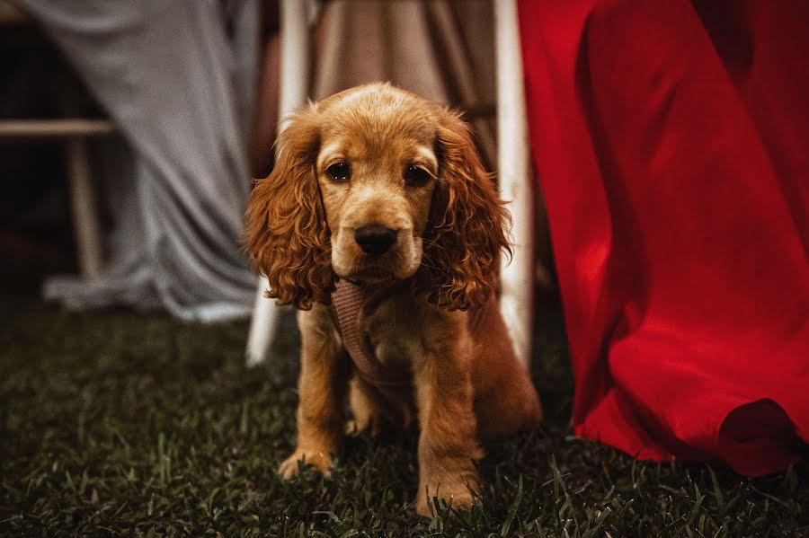 Wedding photographer Stefano Roscetti (stefanoroscetti). Photo of 25 July 2021