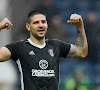 "Avec Mitrovic, Anderlecht aurait été champion"