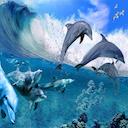 Blue Dolphin Group In Deep Water Theme