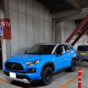 RAV4 MXAA54