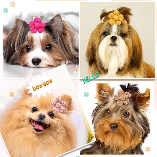 images slider number - 4