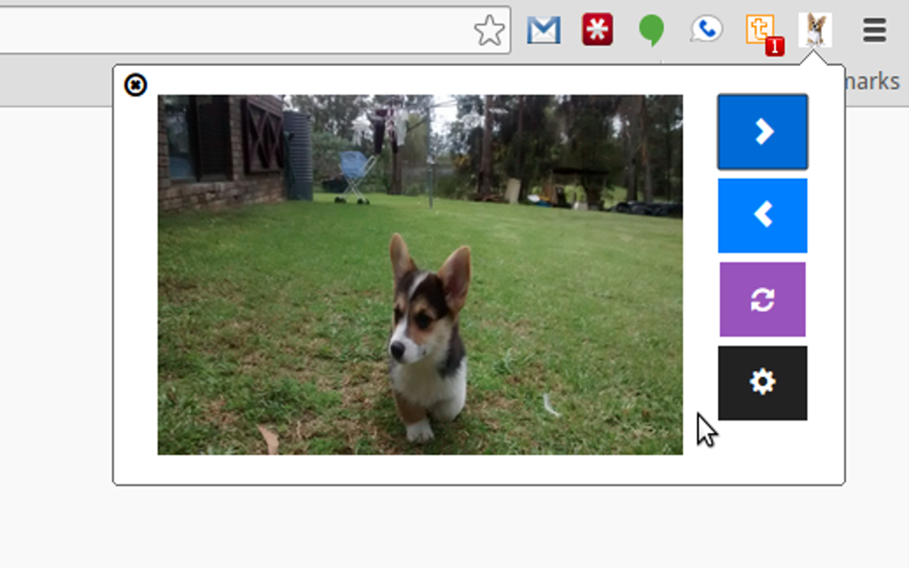 Corgi-Break Preview image 0