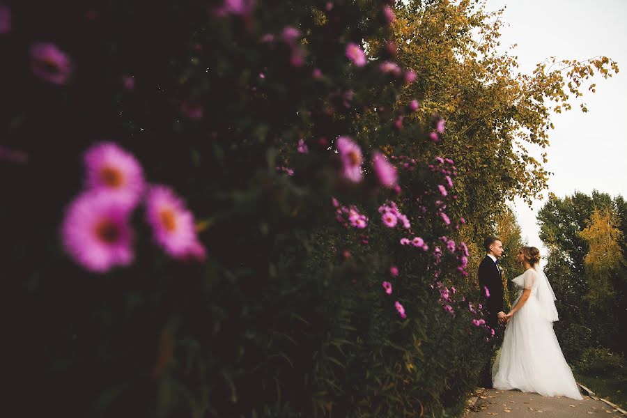 Fotógrafo de casamento Dmitriy Moskalenko (moskalenkodmitry). Foto de 13 de janeiro 2017