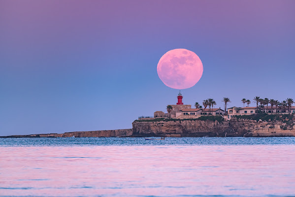 La luna di fragole di Massimo_Tamajo