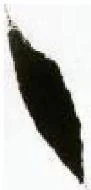 https://lh6.googleusercontent.com/OF63iwaZgCX_6m2itTKKk0ZX5h3B25NiFJVPht1tkdJeBXs-uvuqpxghcnukNlhNDsiJ1XGKpOQ4fBioh45YXN2LR09vovJkPsCUMN3Q8HKtQigkejUW60e5sVLiSDAitHnDzi1ufeVF3R4X7-fR