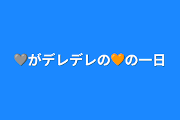 🩶がデレデレの🧡の一日