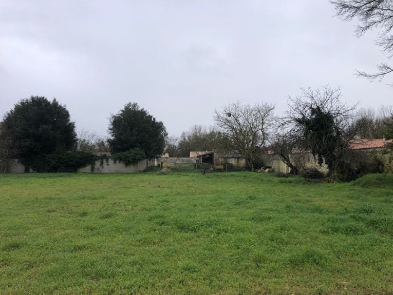 Vente terrain  386 m² à Salles-sur-Mer (17220), 190 000 €