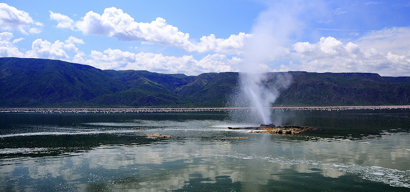 Bogoria lake di vitomaso