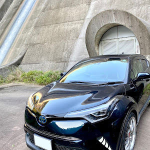 C-HR ZYX10