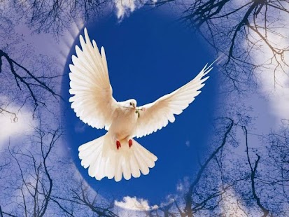 Lovely HD Wallpaper 2017 - náhled