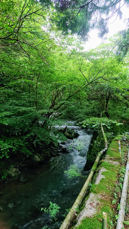 WRX S4の湯河原に行って来ました・温泉ドライブ・一泊して温泉もイイんじゃない・嫁レージ・タンクローリーあるあるに関するカスタム事例の投稿画像6枚目
