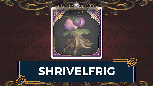 Shrivelfrig