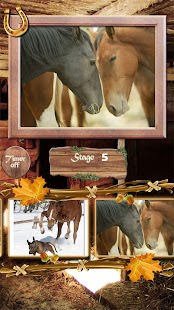 Find the Difference: Horses Screenshots 1