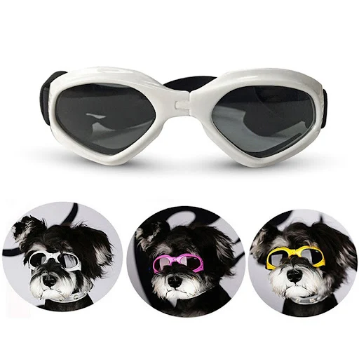 6 Colors Cute Pet Dog Sunglass Sun Glasses Pet Cat Goggles Eye Wear Puppy Eye Protection Pet Grooming Accessories Pet De