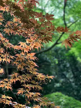 付き合うはずが…最終回