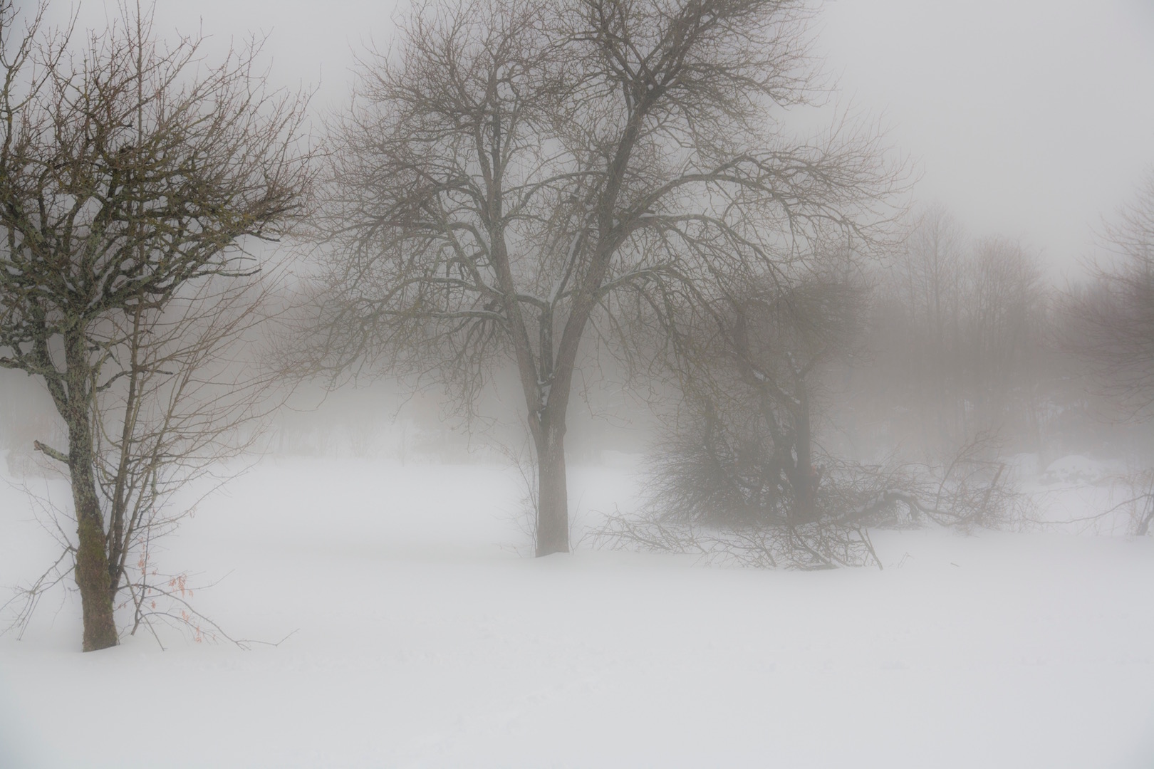 Snowstorm di charlesavantgarde