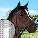 Download Pony Horse Pixel Art For PC Windows and Mac 1.0
