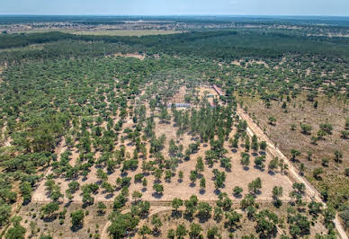 Corps de ferme avec piscine 3