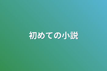 初めての小説