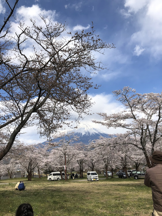ステップワゴンの大石寺に関するカスタム事例の投稿画像3枚目