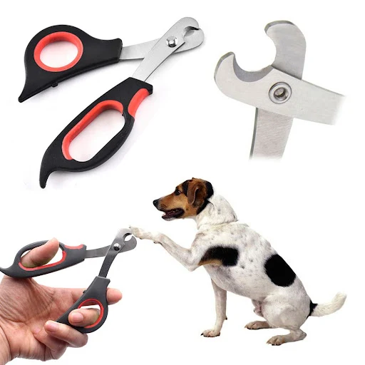 Pet Nail Clipper Stainless Steel Dog Guinea PigCat Rabbit Claw Toe Nail Clipper Animal Supplies