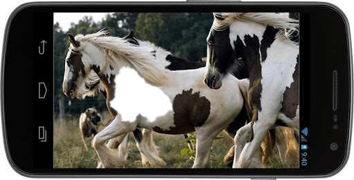 Horse Power Photo Frames