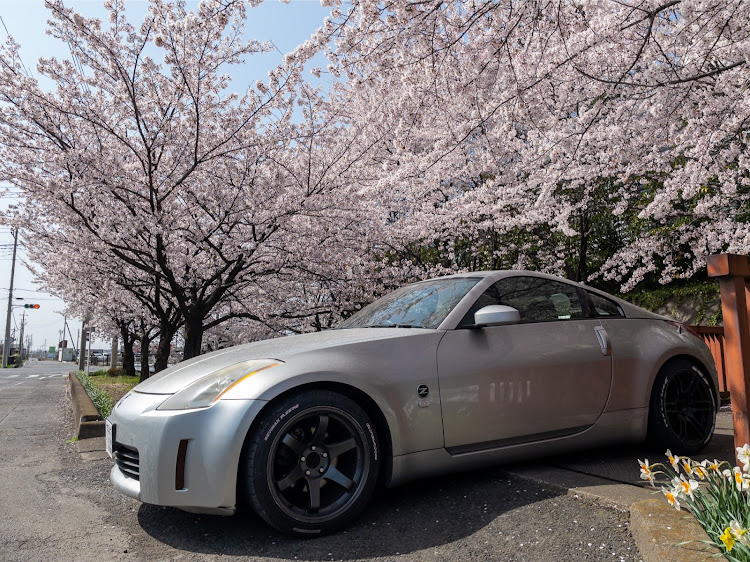 フェアレディZの桜とコラボ・桜・群馬魂・z33・フェアレディZに関するカスタム事例の投稿画像1枚目
