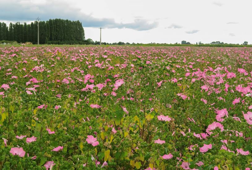  Vente Terrain à bâtir - 315m² à Ballancourt-sur-Essonne (91610) 