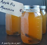 Apple Pie Moonshine was pinched from <a href="http://soufflebombay.com/2013/11/apple-pie-moonshine.html" target="_blank">soufflebombay.com.</a>
