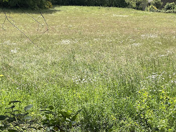 terrain à Saint-Denis-des-Murs (87)