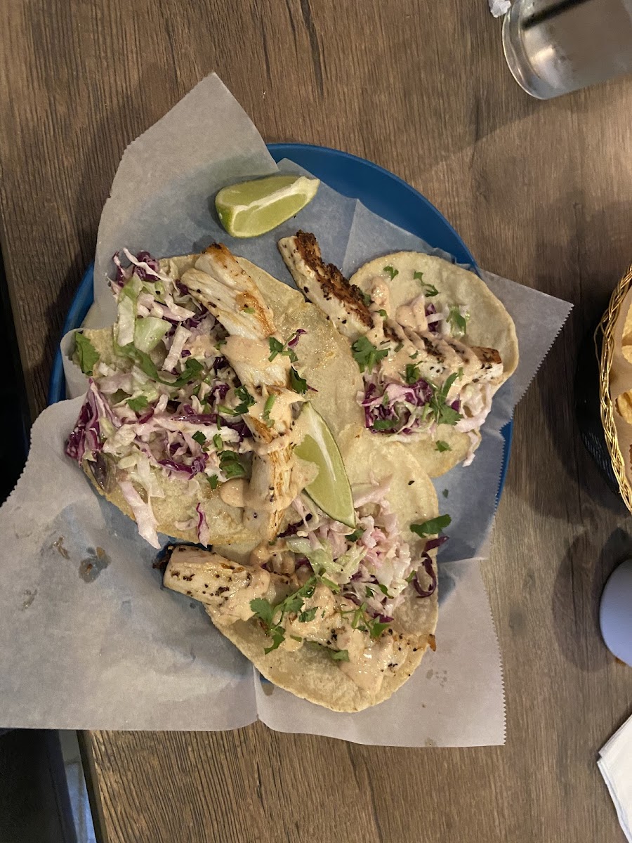 Gluten free tacos