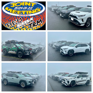 RAV4 AXAH54