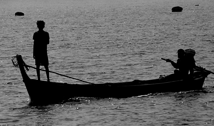 Piccola vedetta di meditraw