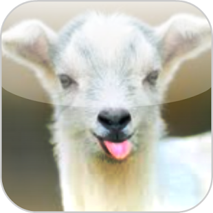 How to download Sheep Puzzle lastet apk for bluestacks