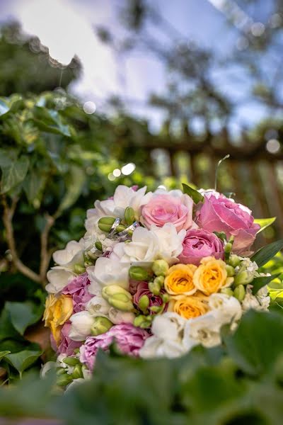 Fotógrafo de casamento Monika Čupová (cupova). Foto de 2 de fevereiro 2019