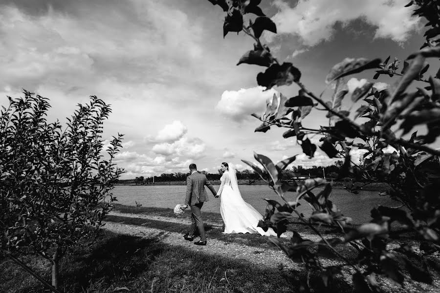 Fotógrafo de casamento Alla Shevchenko (deemvest). Foto de 30 de janeiro 2020