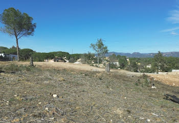 maison neuve à Puget-sur-Argens (83)