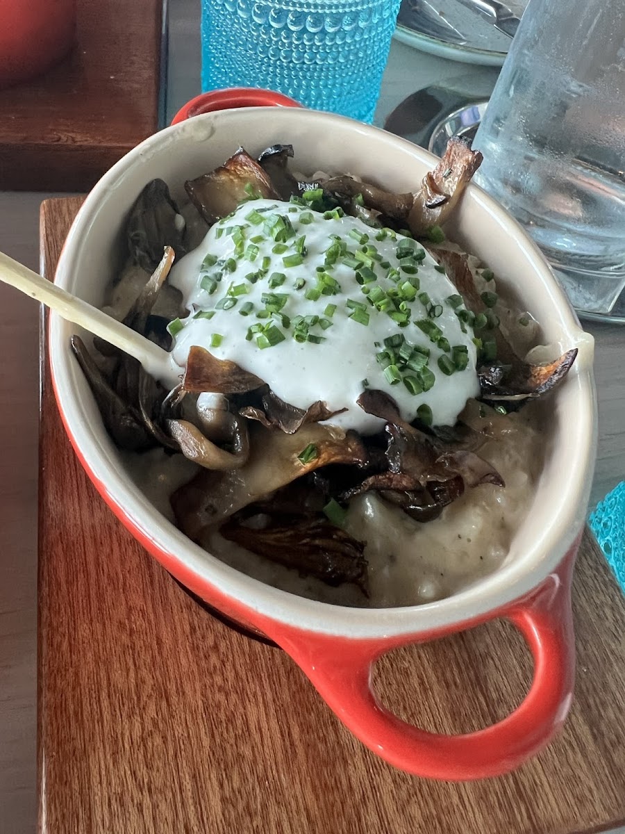 Wild mushroom risotto