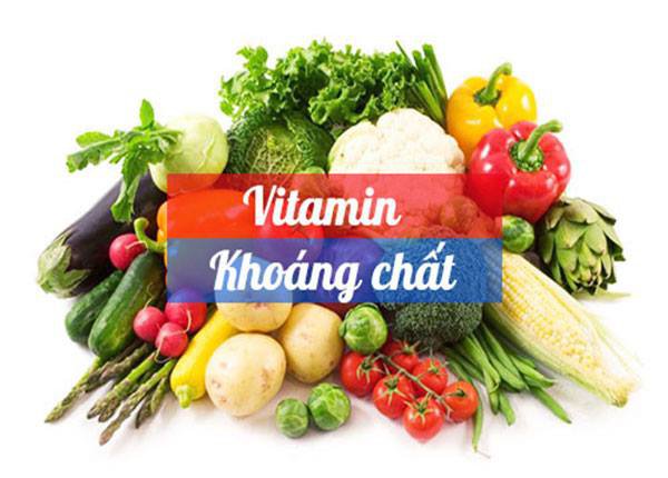 Vitamin và khoáng chất