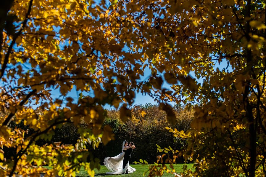 Hochzeitsfotograf Ionut Fechete (fecheteionut). Foto vom 27. Oktober 2018