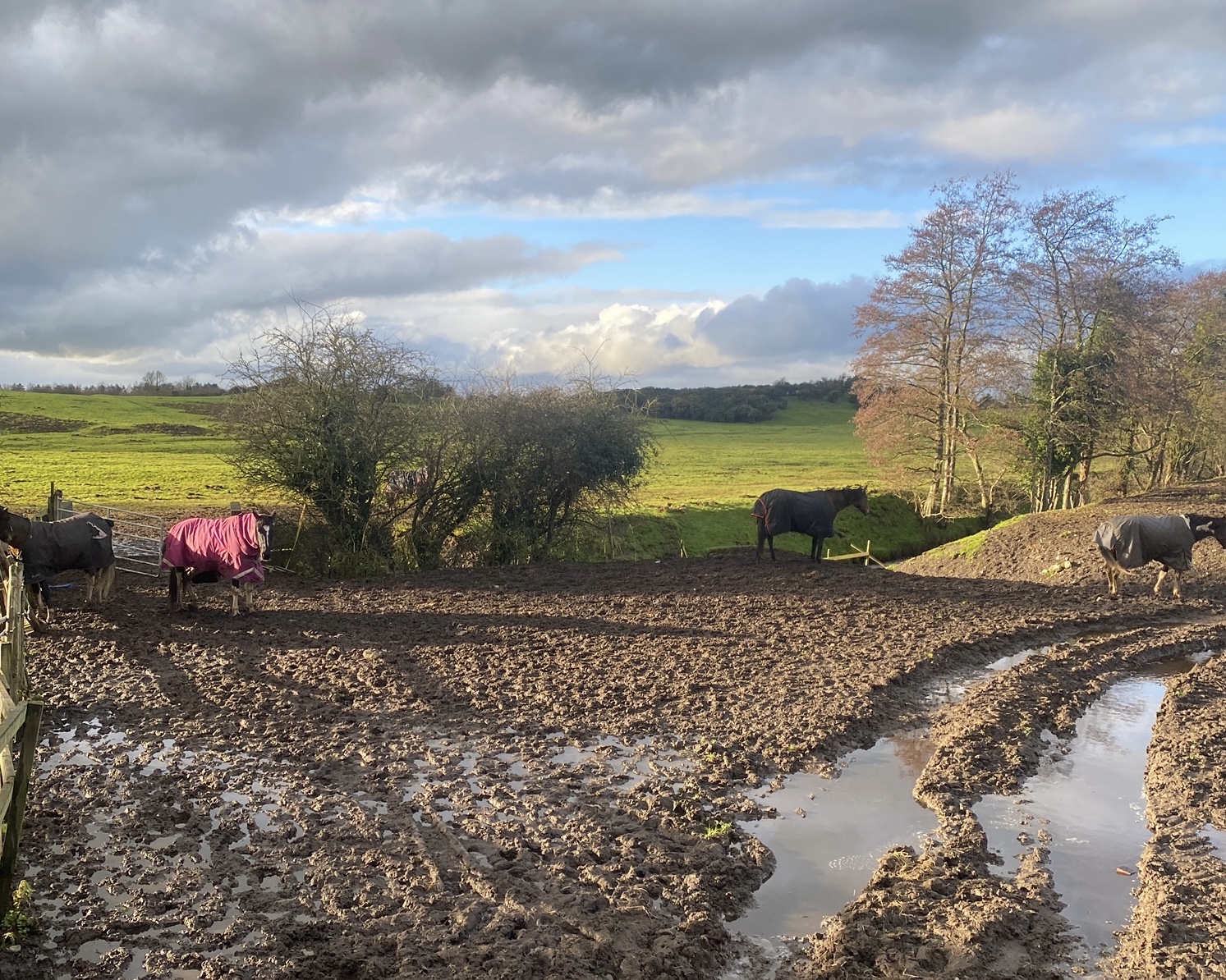 volunteering in ireland