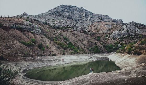 Fotograful de nuntă Aleksandr Lushin (lushin). Fotografia din 15 aprilie 2016