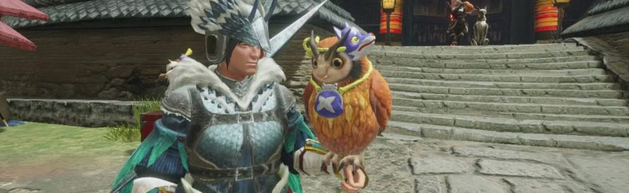 Best Monster Hunter Rise builds for support