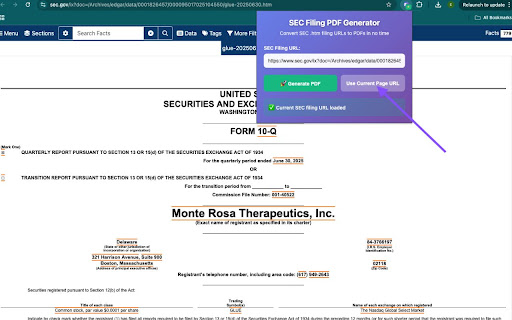 SEC Filing PDF Generator screenshot 3