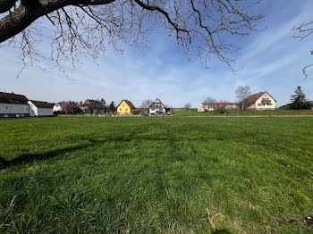 terrain à batir à Schwenheim (67)