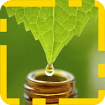 Cover Image of Скачать Homeopathy: natural medicine 2.0.0 APK