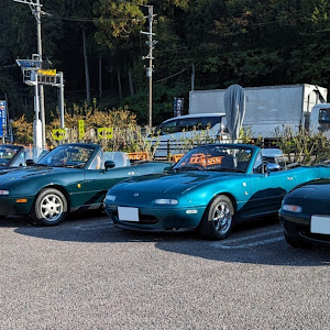 ロードスター NA8C