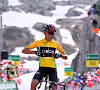 Tour de Suisse: victoire d'Egan Bernal devant Pozzovivo, TIesj Benoot toujours bien là